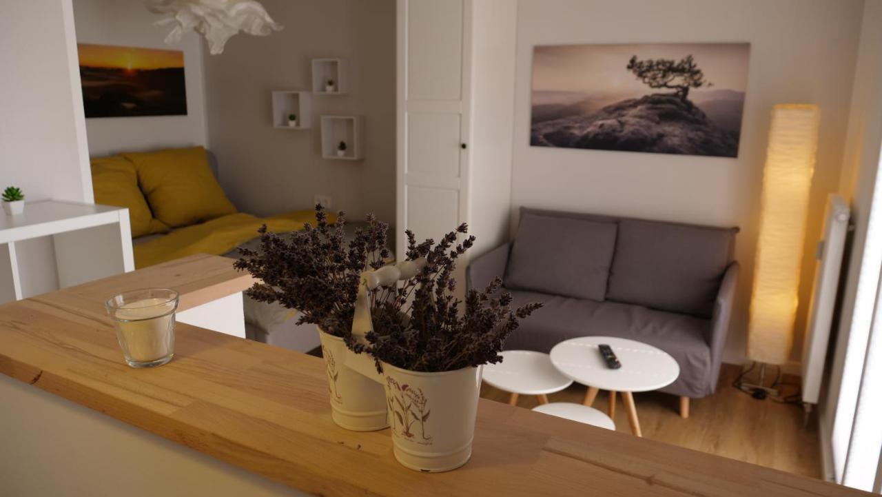 Ferienwohnung Gottleubapark Apartment Pirna Exterior foto